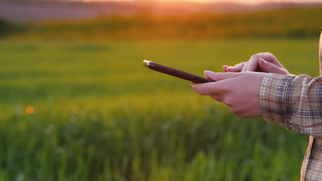Farmer's-Hands-With-A-Tablet-Against-The-Background-Of-A-Green-Wheat-Field