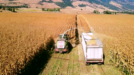 Siga-La-Toma-De-Vehículos-Agrícolas-Recolectando-Maíz-Durante-La-Temporada-De-Cosecha