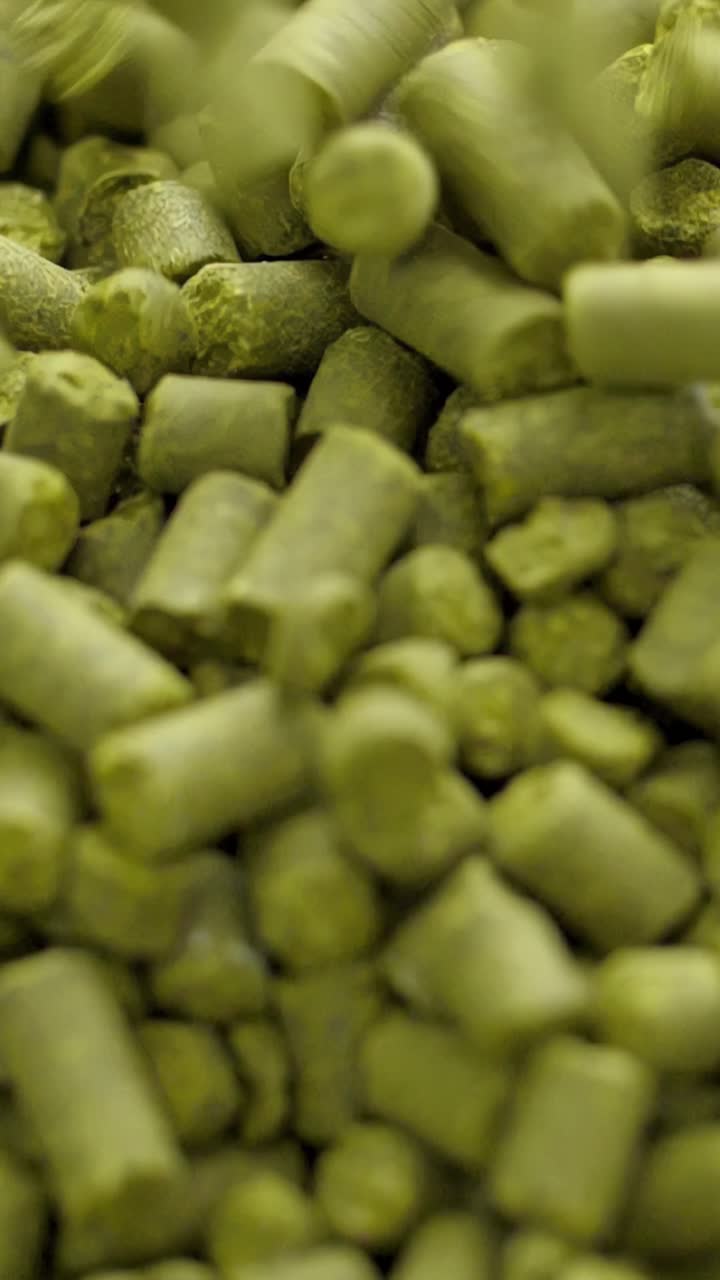 Hops for Beer Production