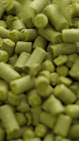 hops for beer production