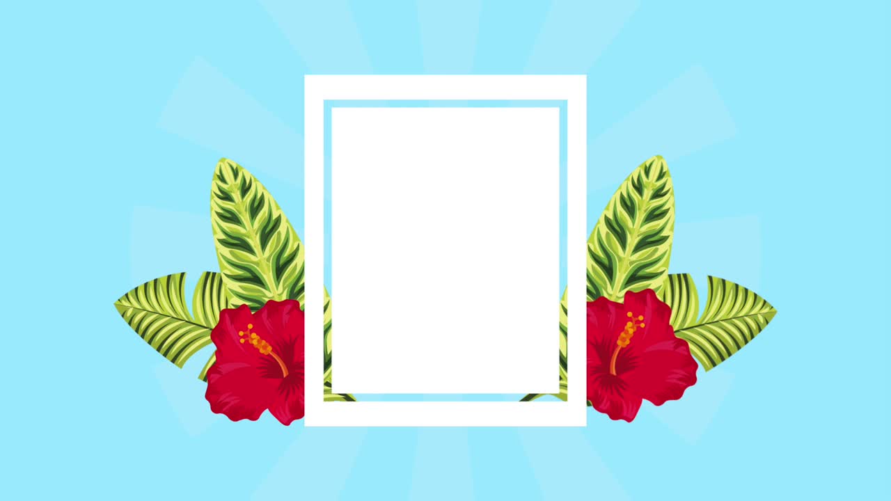 여름 열대 템플릿