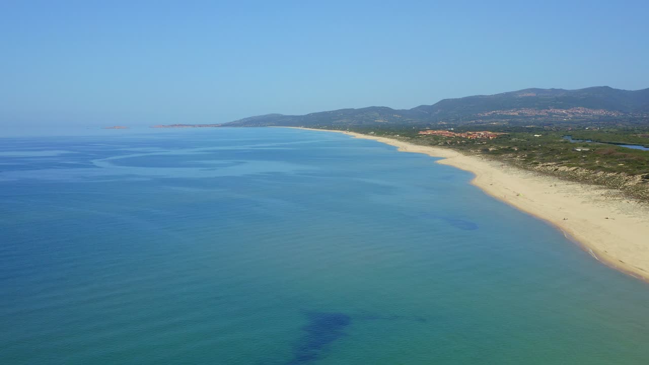 Splendida vista di una spiaggia sabbiosa con vegetazione verde vicino al mare blu.