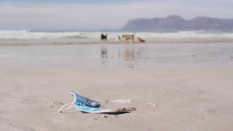 a face mask lying in sand on the beach with waves in the background