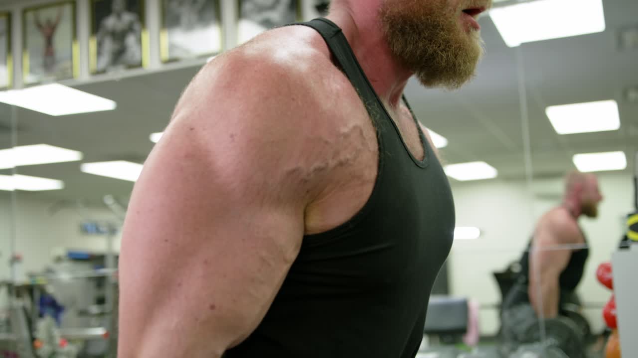 Gym Working Training. Fit Muscle Body Workout