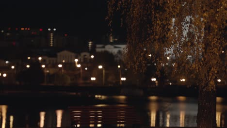 night city park scene with bench