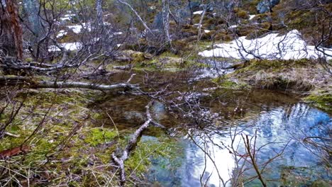 Stream-from-the-glacier