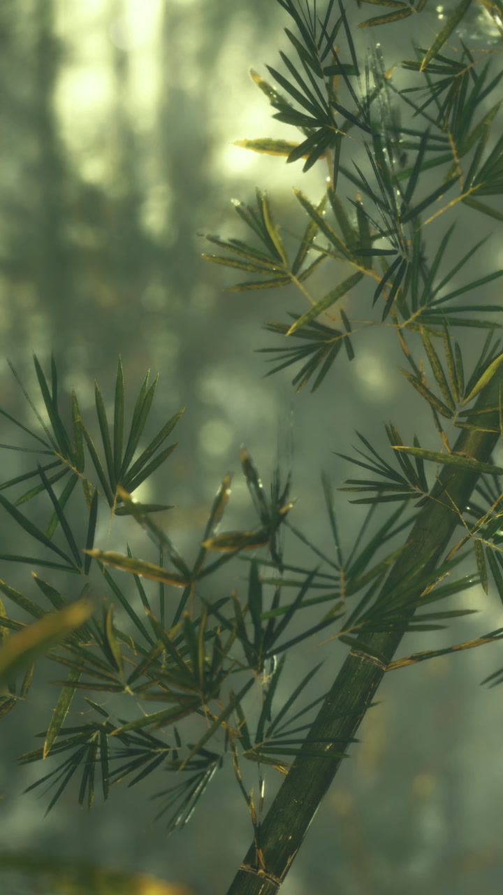 Light filters through vibrant bamboo leaves in a tranquil forest setting