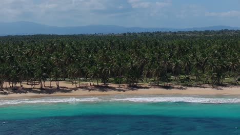 playa tropical con palmeras y agua turquesa