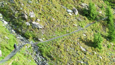 excursionista aislado caminando por el sendero alpino durante la temporada de verano