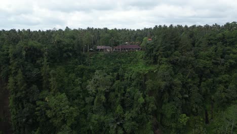 Closing-in-on-coconut-trees-and-jungle-landscape-in-the-East-of-Bali,-Indonesia