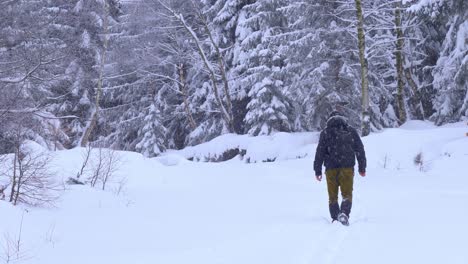 view from the back of a man walking alone in a snowed forest