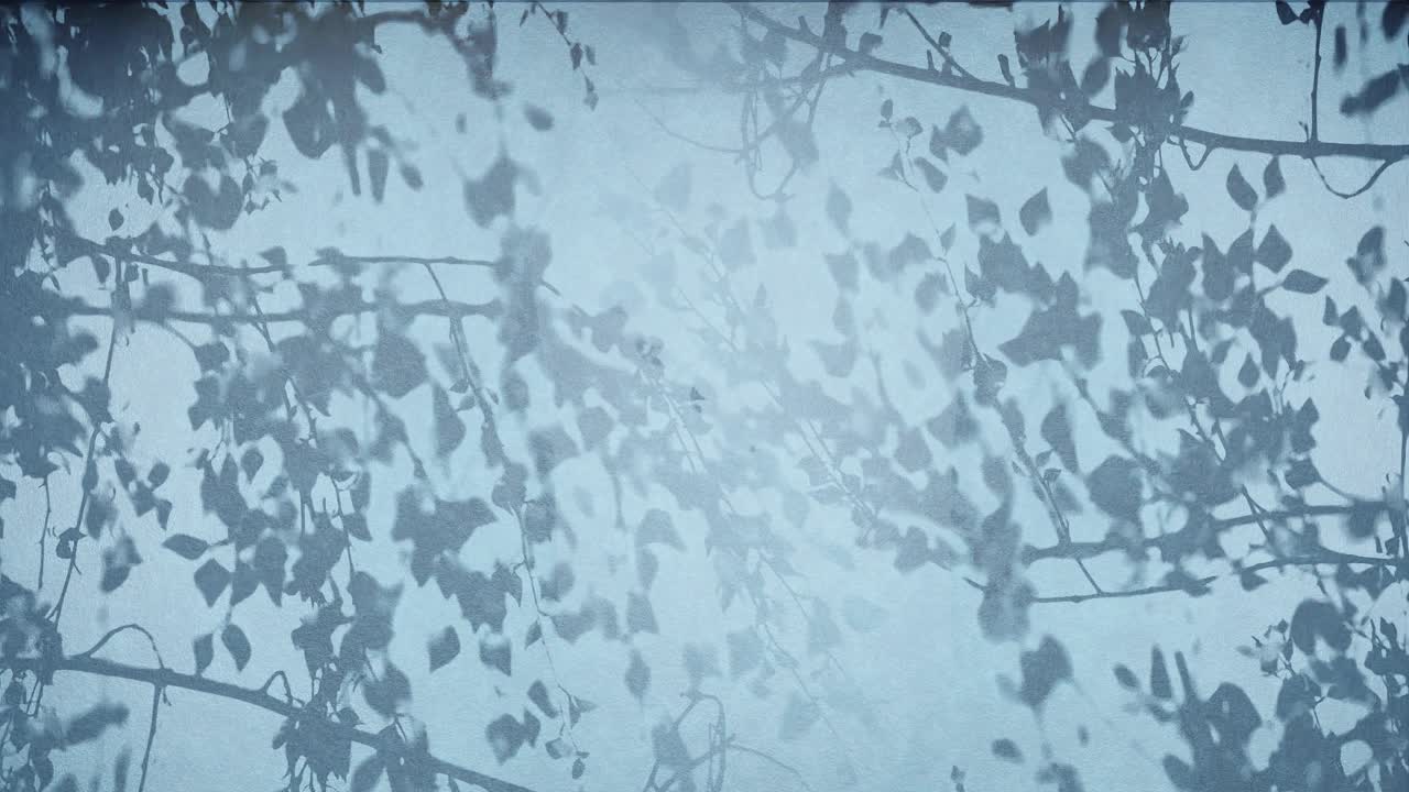 푸른 하늘을 배경으로 그려진 잎자루