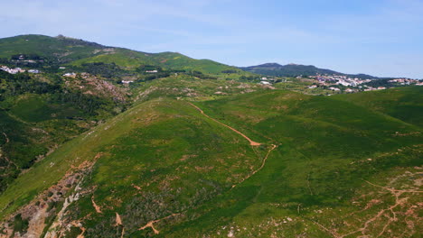 panoramic view grassy slopes under cloudy sky. mountain hills covered greenery