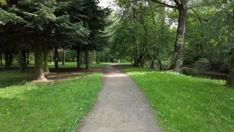 la carretera en medio del parque con árboles a la sombra cerca del río