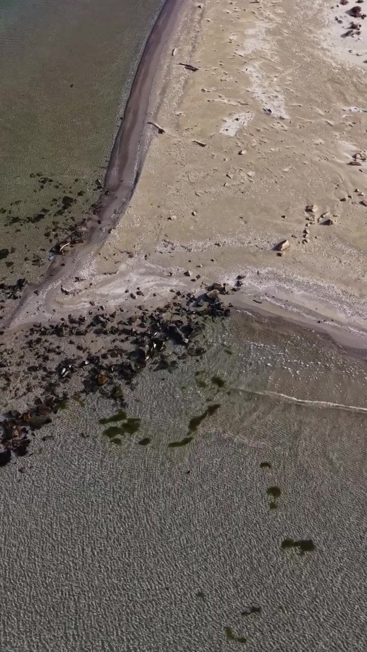 Vista aerea di una spiaggia serena che incontra acque cristalline