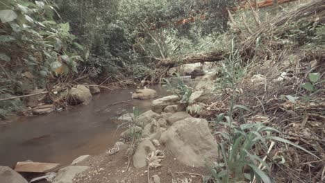 Agua-De-Río-Sucia-Que-Fluye-Bajo-Un-árbol-Caído