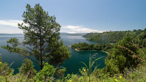 a vast lake surrounded by lush green mountains and trees under a clear blue sky