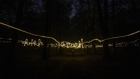 mysterious light trails in a dark forest: a captivating journey through nature with illuminating patterns and a sole figure amidst the trees