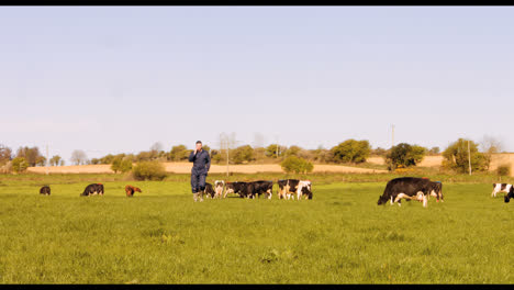 cattle farmer talking on mobile phone