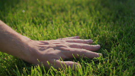 hand strokes evenly cut grass on the lawn