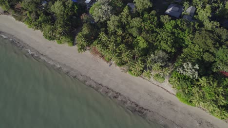 vista de arriba hacia abajo de la orilla arenosa en la playa de cuatro millas en port douglas, queensland, australia - disparo de drones