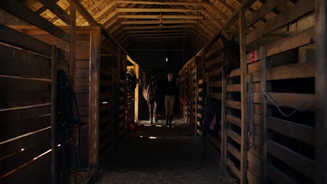 woman walking through a horse stable