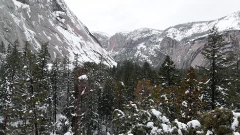 Imágenes-Aéreas-De-Drones-Que-Vuelan-A-Través-De-Las-Copas-De-Los-árboles-En-El-Valle-De-Yosemite-En-Invierno,-Rodeadas-De-Acantilados-De-Granito-Nevados-A-Cada-Lado