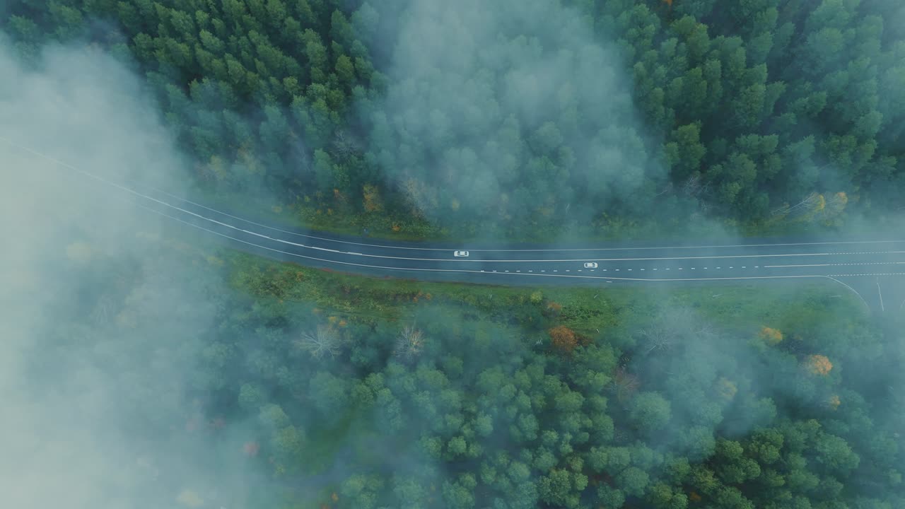 안개가 가득한 산길