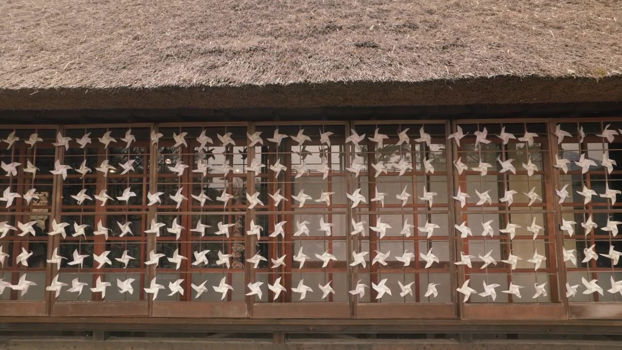 日本山梨县西湖畔遗产村西湖治愈之里根场的一座传统茅草屋顶建筑——特写