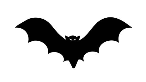 flying bat on the white background. halloween background