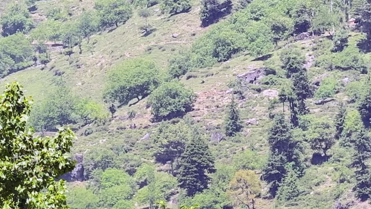 Rural India and farmers land, Nature beauty, Hills, Green Fields with Village Life in Forest area and Timeless Travel Escapes