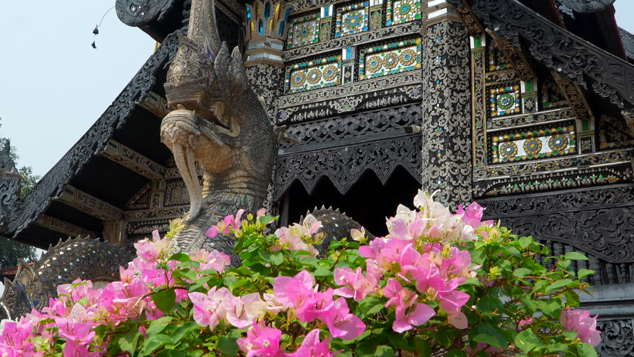 치앙마이의 전통 태국 사원을 장식하는 분홍색 꽃