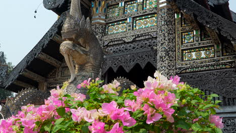 Flores-Rosadas-Que-Decoran-El-Templo-Tradicional-Tailandés-En-Chiang-Mai