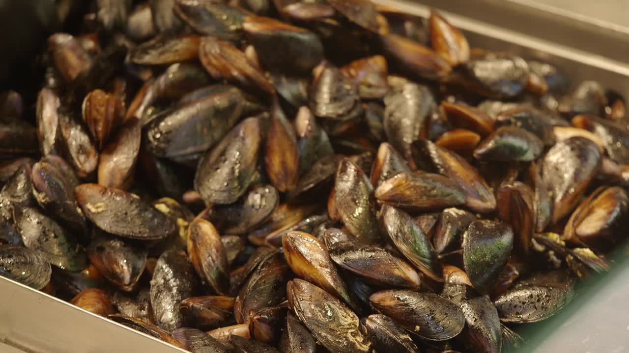 Mussel Preparation