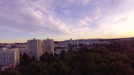 Aerial-flight-in-pine-trees-discovering-residential-buildings-la-Paillade