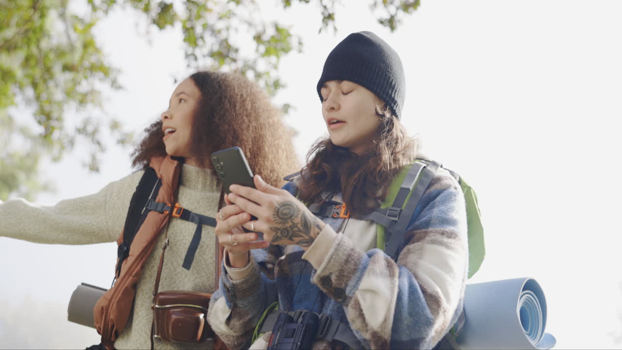 amigos, teléfono y personas perdidas al aire libre en la naturaleza