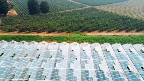 Green-farm-covered-with-rooftop-glass-4k