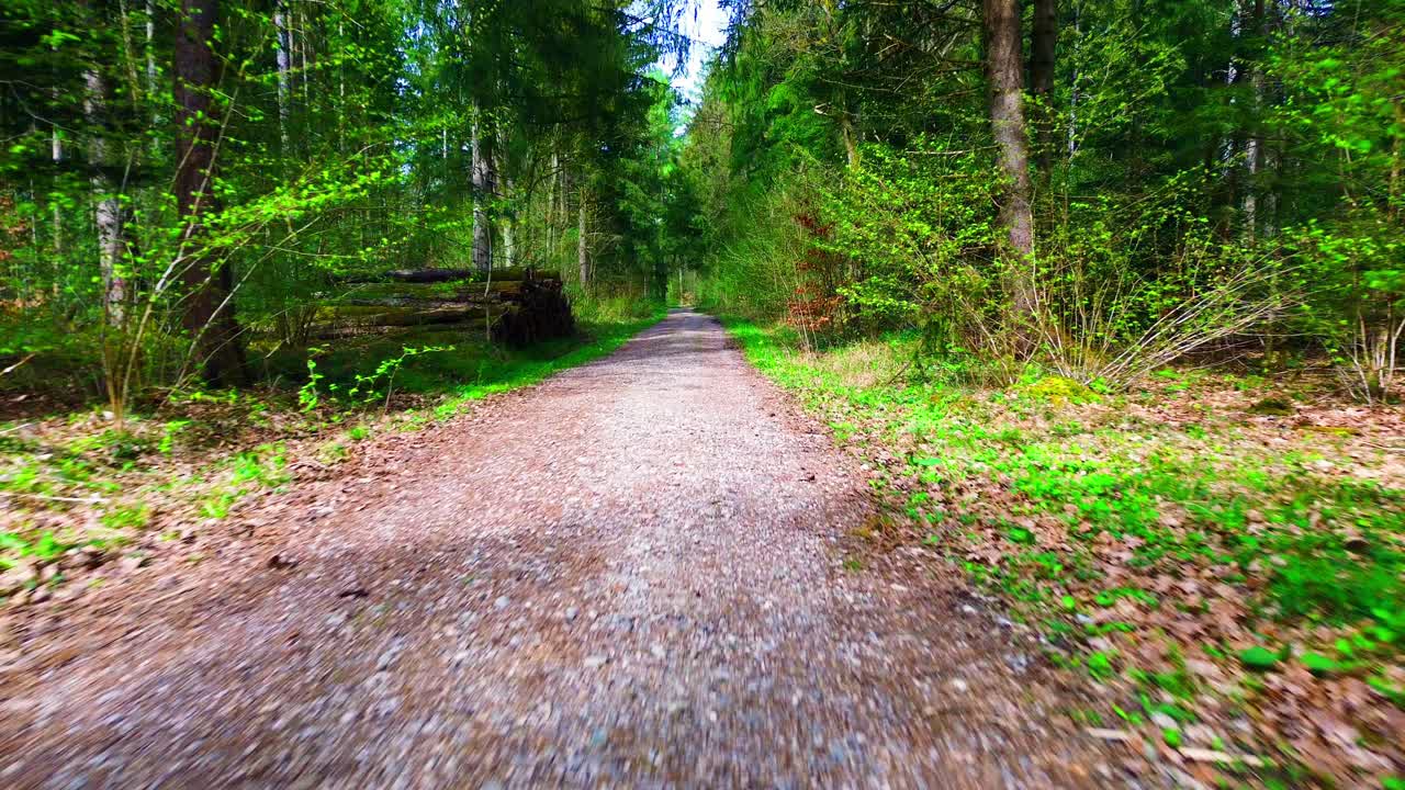 초록색 봄 숲 을 가로질러 초대 하는 자갈 길
