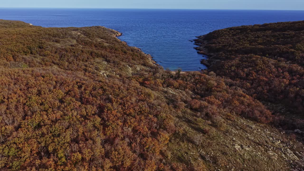 Smuk luftfoto af kystlinje og skov om efteråret