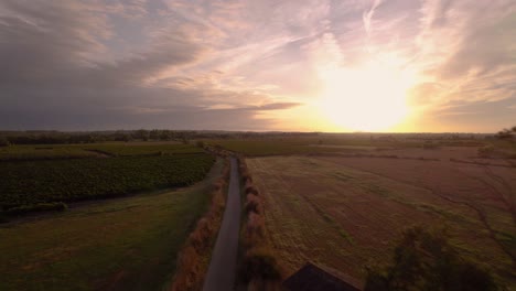 Aerial-shot:-flying-over-a-vineyard-in-southern-France