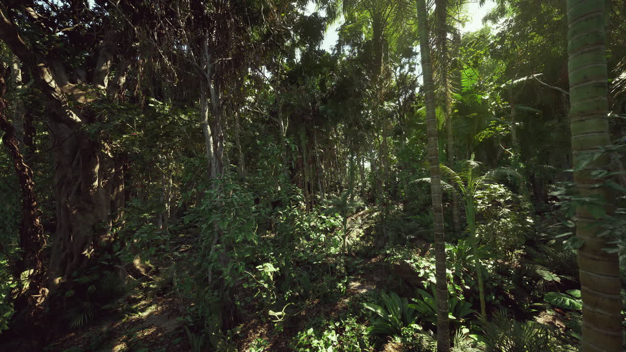 Paesaggio forestale lussureggiante, giungla vivida con ombre e vegetazione rigogliosa