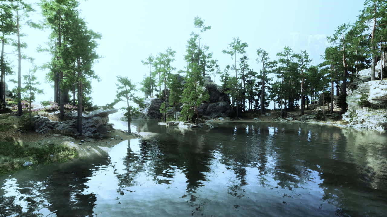 조용한 숲 호수