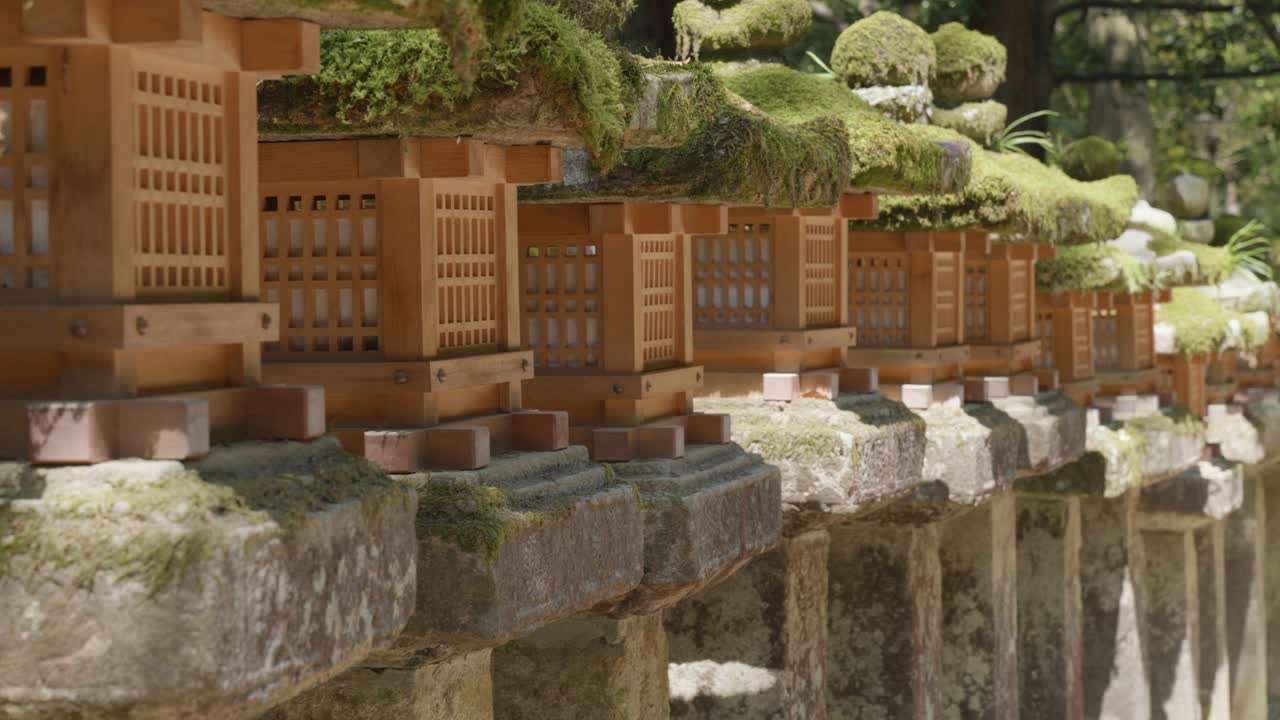 Lanternes en pierre au sanctuaire de Kasuga, Nara, Japon