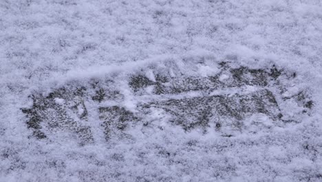 una huella en la nieve