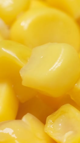 macro video of fresh corn spinning in a circle corn background the concept of agriculture macro video of fresh corn spinning in a circle corn background the concept of agriculture