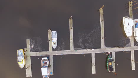 Drone-aerial-descending-upon-boats-docked-at-a-marina