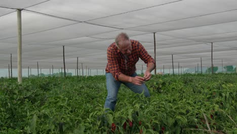 mature man working on farm