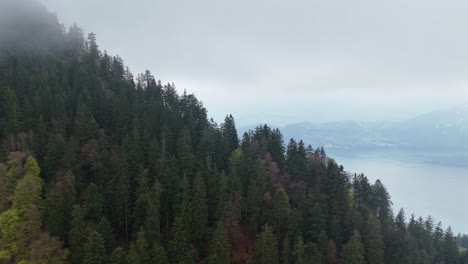 Aerial-revealing-shot-of-famous-Vierwaldstättersee-in-Switzerland