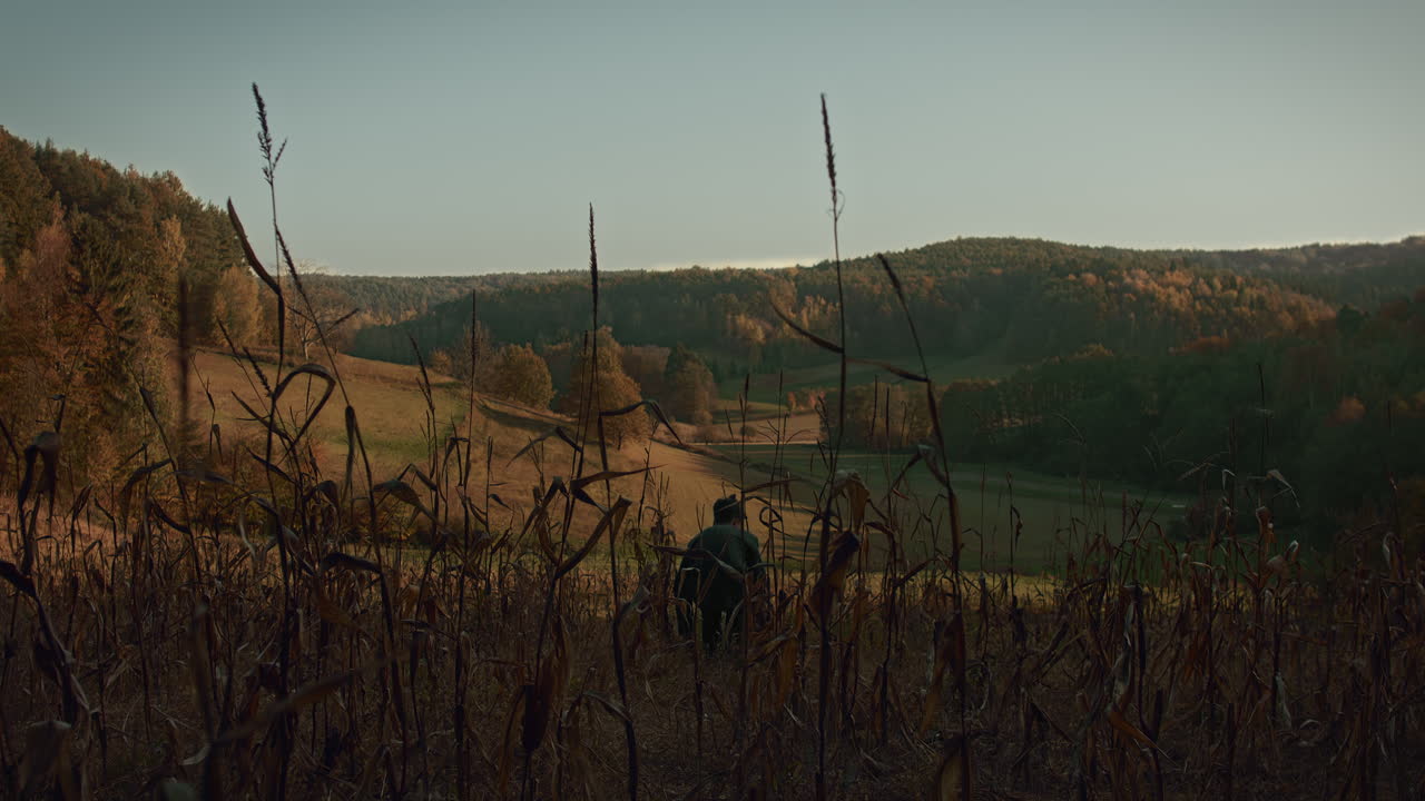 Un giovane cammina in mezzo a un campo di mais nel tardo autunno, si ferma, si siede e si sdraia a terra per guardare il cielo.