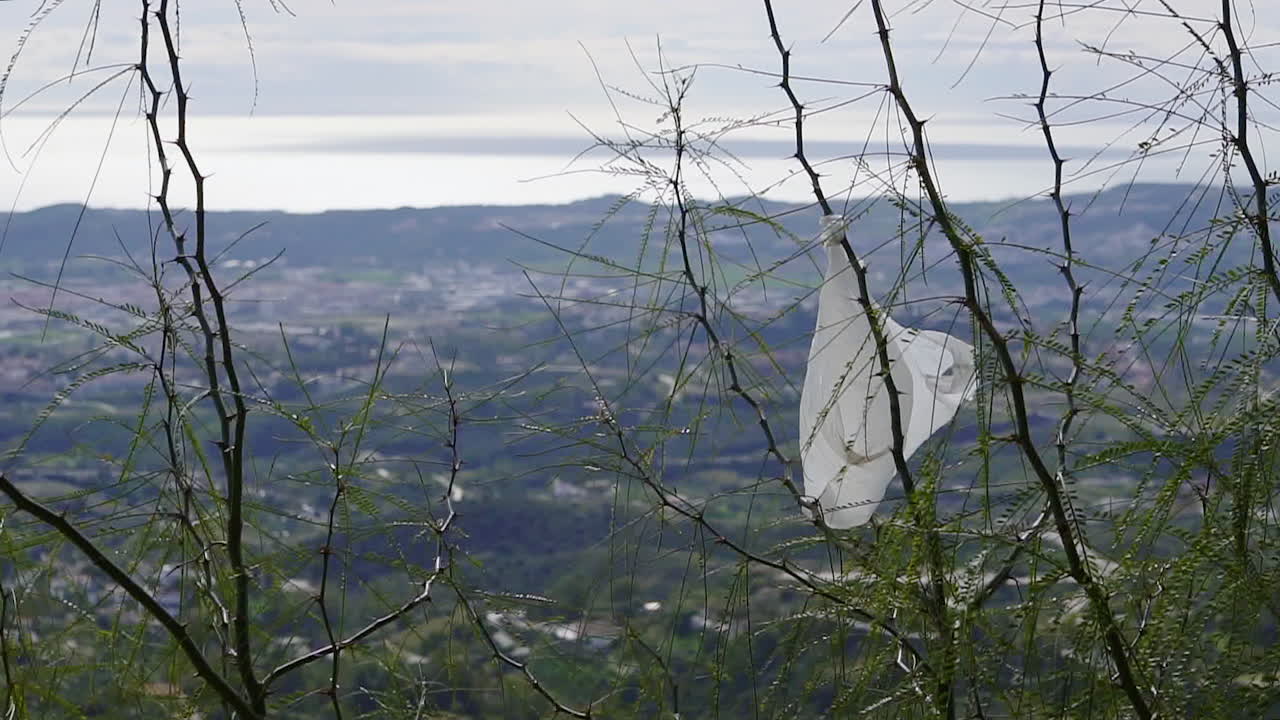 En vit plastpåse fastnat på en gren och vajar i vinden